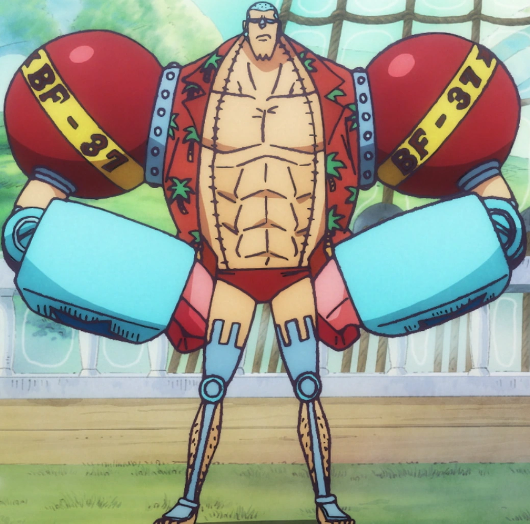 Article header image: Franky: The Shipwright Who Built His Own Body